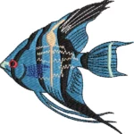 Blue Fish