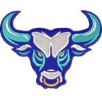 Bull Head Embroidery