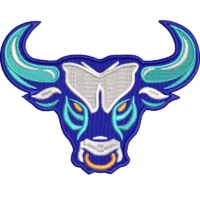 Bull Head Embroidery