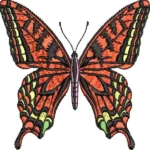 Butterfly with red wings
