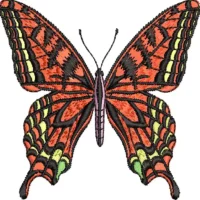 Butterfly with red wings