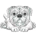Cute puppy Art