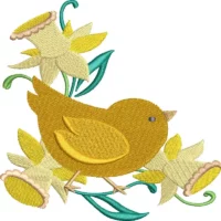 baby chicks and daffodils