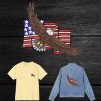 Flying Eagle and USA Flag
