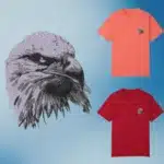 Realistic Eagle Face