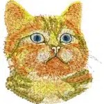 Cat Face