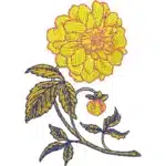 Yellow Flower