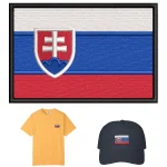 Slovakia Flag