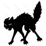 Black Cat