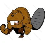 Angry Beaver