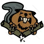 Angry Beaver Face