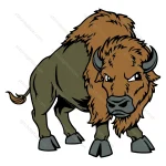 Angry Bull