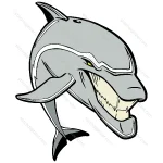 Angry Dolphin