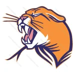 Angry Cougar