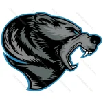 Angry bear
