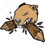 Beaver Head