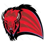 Bison Bull