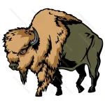 Bison Flat