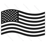 Black USA Flag