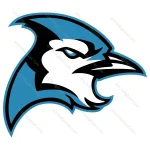 Blue Falcon