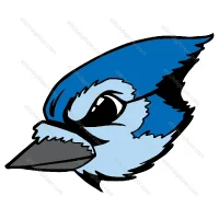 Blue Jay Bird