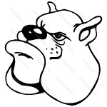 Bulldog Face Art