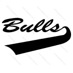 Bulls Stylish Text