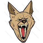 Coyotes Head