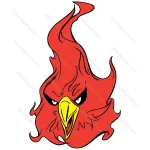 Fire Bird Face