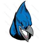 Hawks Blue Face