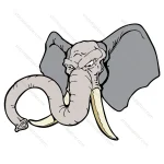 Indian Elephant