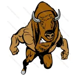 Strong Bull
