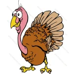 Thanksgiving Turkey