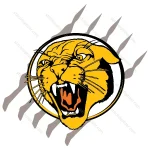 Wild Panther