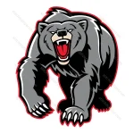 Grizzly Bear