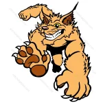 Angry Bobcat