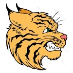 Bobcat Head