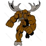 Bodybuilder Moose