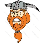 Head Viking Mascot