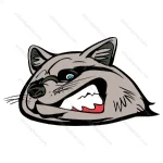 Racoon Angry Face