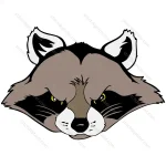 Racoon Head
