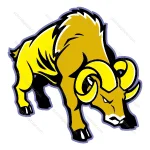 Yellow Ram