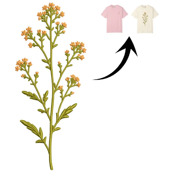 Cleavers Herb Cleavers Herb