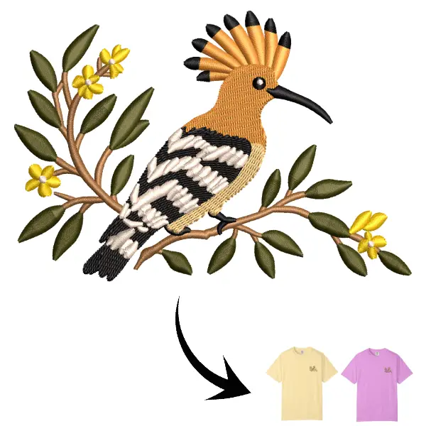 Hoopoe Hoopoe